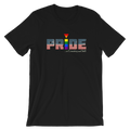 PRIDE in Country and Self | v1.0